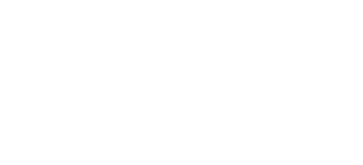 Brasilia International logo